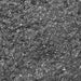 Black Edible Glitter Tinker Dust | 5 Gram Jar-Brew Glitter®