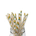 Pineapple Print Stirring Straws | Bulk Sizes-Brew Glitter®
